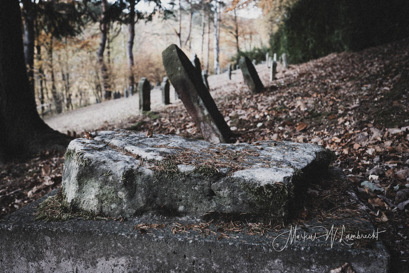 Jestädt, Jüdischer Friedhof